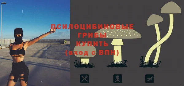 spice Абаза